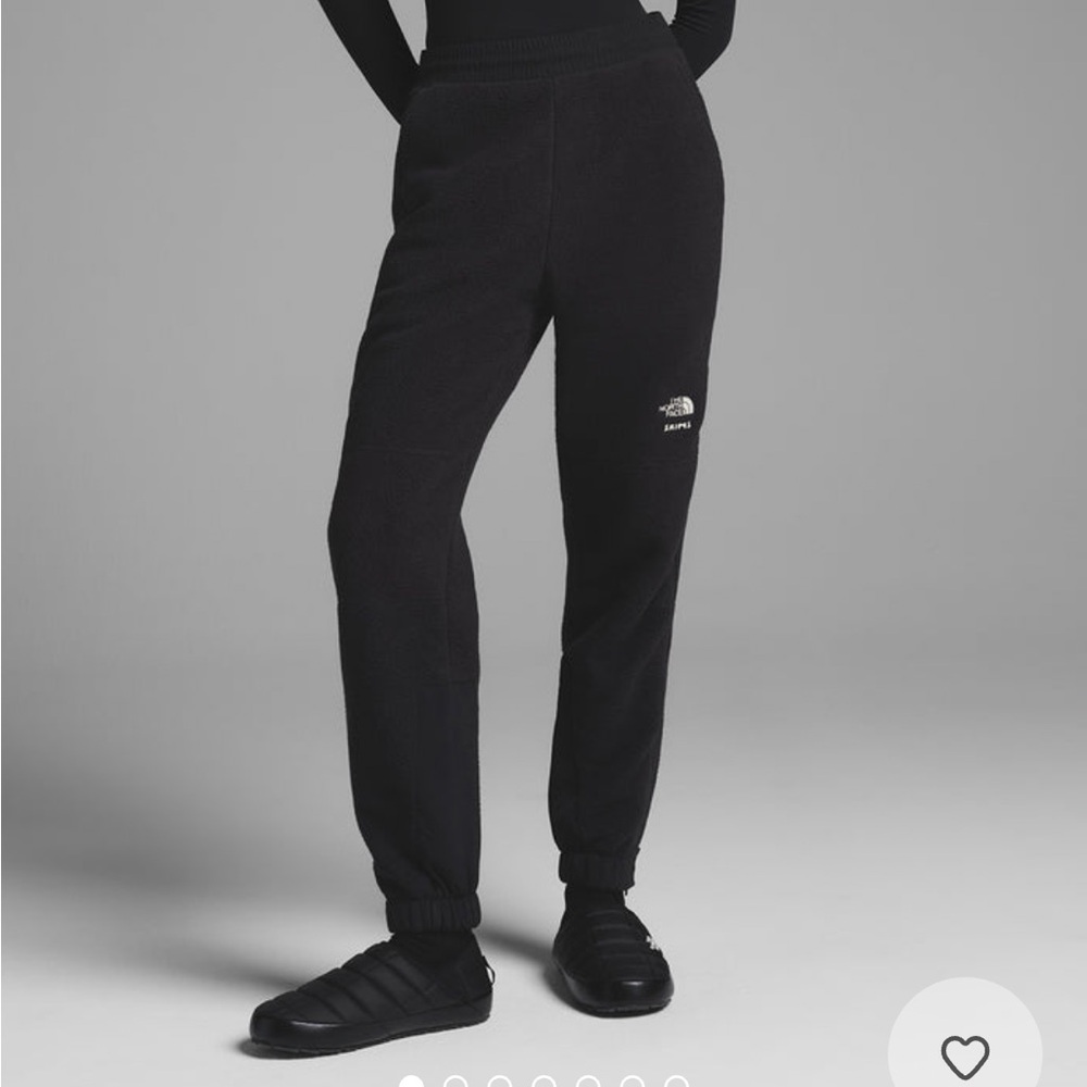 Skims x North Face 1995 Retro Denali Fleece Pant